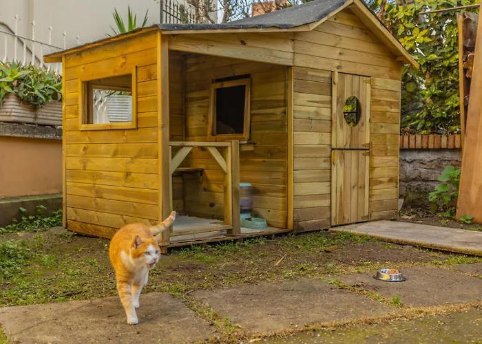 Gatta Ubytování v soukromí *