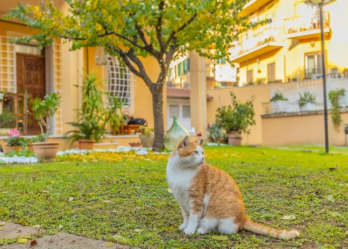 Gatta Ubytování v soukromí *