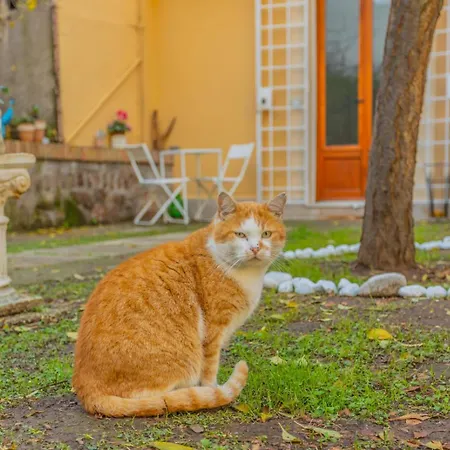 Séjour chez l'habitant Gatta Rome