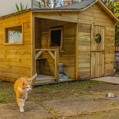 Gatta Séjour chez l'habitant *