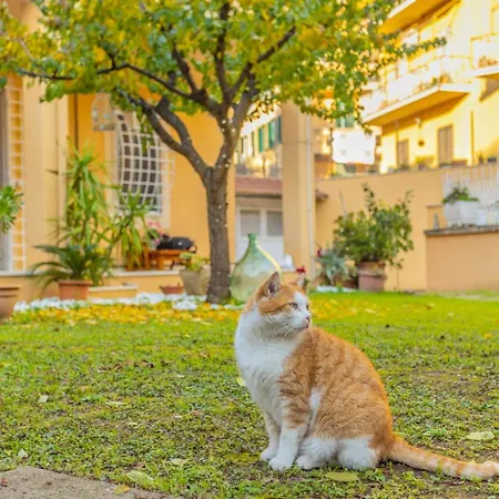 Gatta בית אירוח *